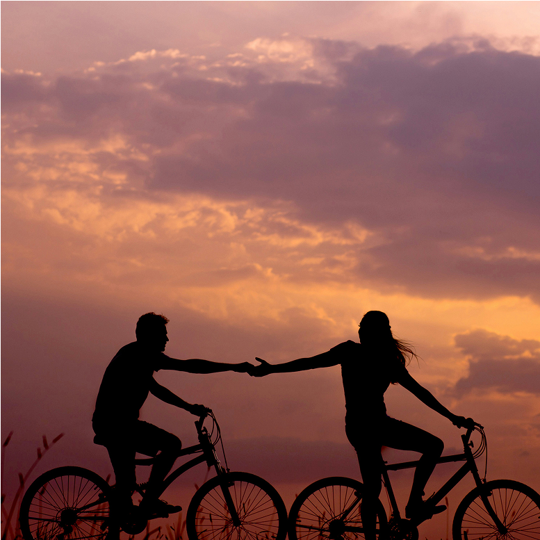 bikes
