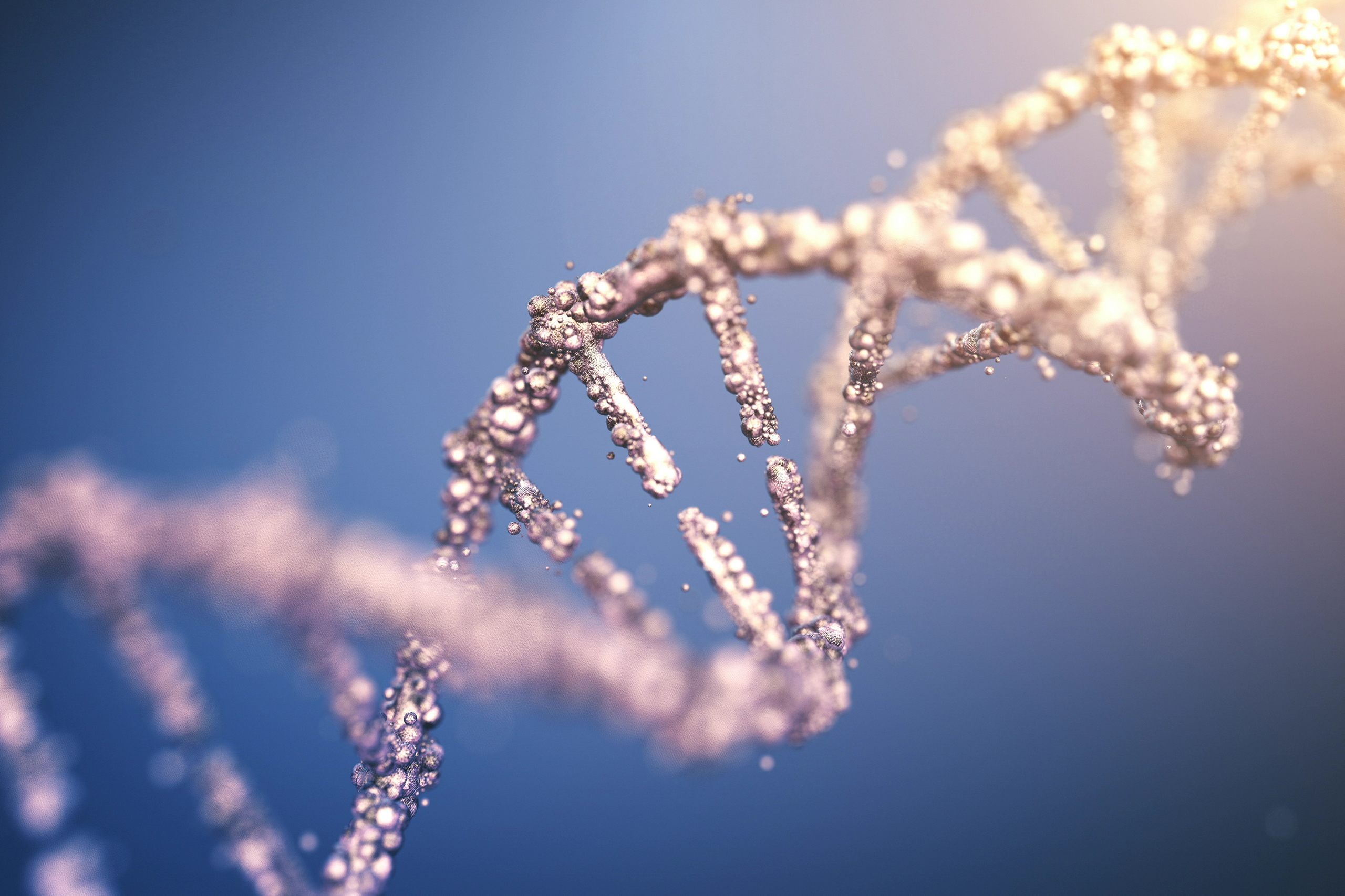 Highly Detailed DNA (Multi Colored)